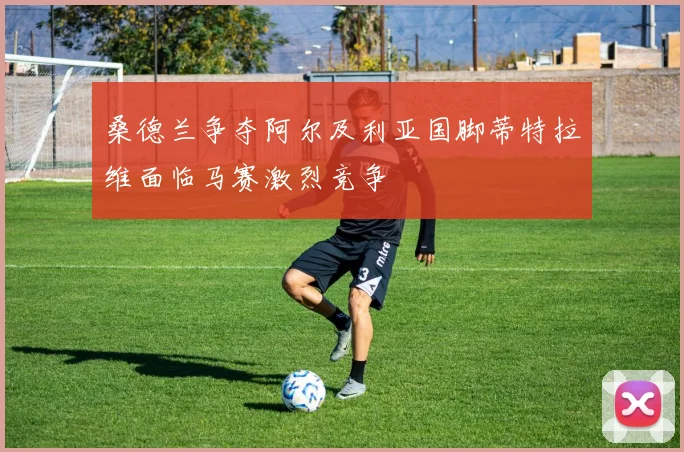 桑德兰争夺阿尔及利亚国脚蒂特拉维面临马赛激烈竞争